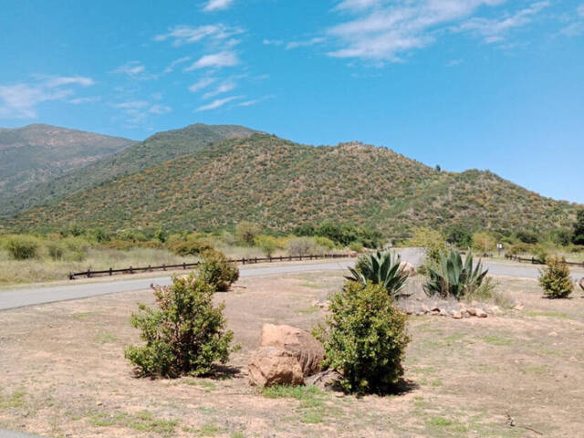 #12 - Terreno en condominio para Venta en Malloa - VI - 3