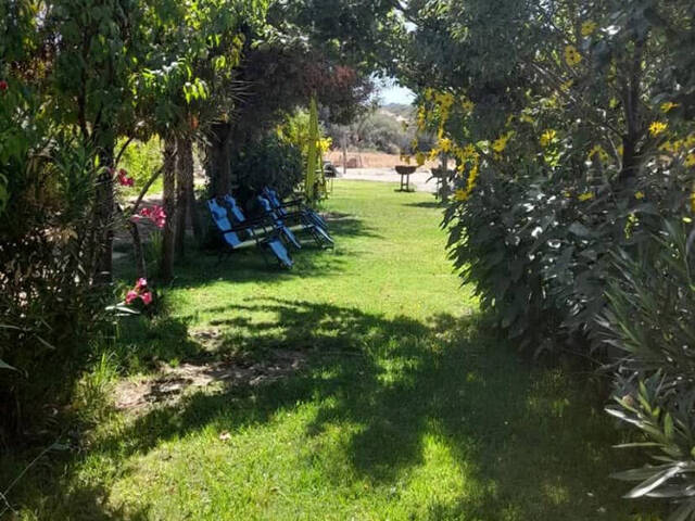 Quinta para Venta en San Pedro - 4